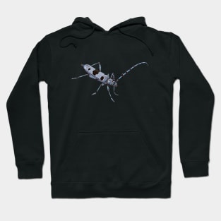 Rosalia Longicorn Hoodie